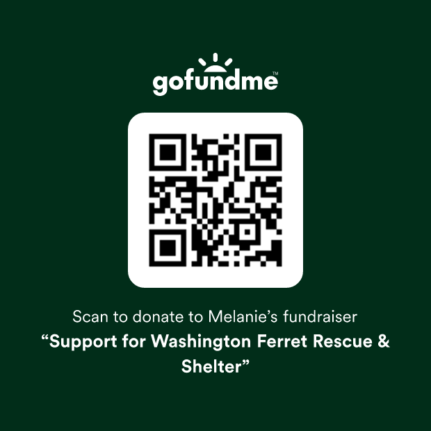 GoFundMe